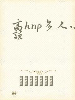 高hnp多人小说