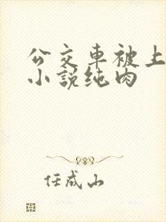 公交车被上高潮小说纯肉