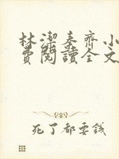 林洁秦齐小说免费阅读全文最新章节