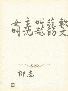 女主叫苏软男主叫沈越的文