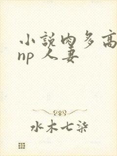 小说肉多高h np 人妻