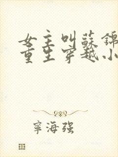 女主叫苏锦什么重生穿越小说封面