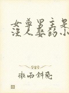 女尊男主是将军没人娶的小说