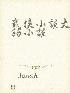 武侠小说大杂烩的小说