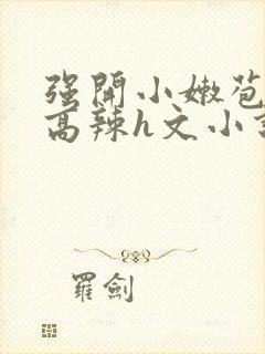 强开小嫩苞h文高辣h文小说