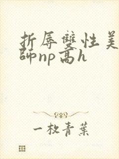 折辱双性美人军师np高h