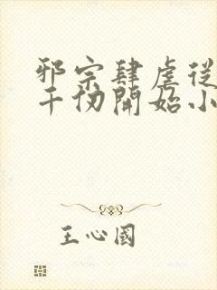 邪宗肆虐从双飞千仞开始小说叫什么封面