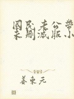 国民老公带回家未删减版小说