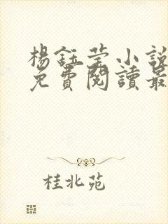 杨钰莹小说全文免费阅读最新章节