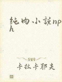 纯肉小说np高h