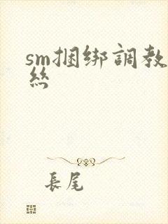 sm捆绑调教白丝封面