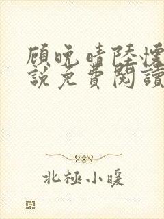 顾晚晴陆怀铮小说免费阅读最新章节