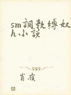 sm调教缚奴高h小说