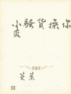 小骚货操你爽不爽