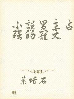 小说男主占有欲强的宠文