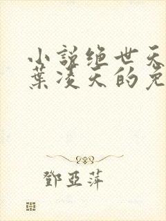 小说绝世天骄·叶凌天的免费阅读封面