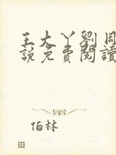 王大丫刘 刚小说免费阅读