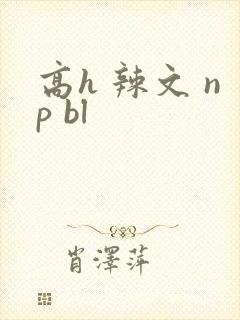 高h 辣文 np bl