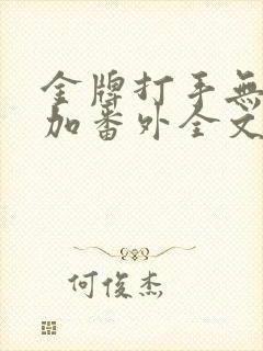 金牌打手无删减加番外全文阅读txt