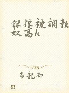 银狼被调教成肉奴高h