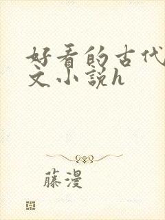 好看的古代调教文小说h