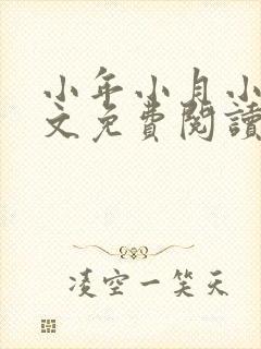 小年小月小说全文免费阅读无弹窗