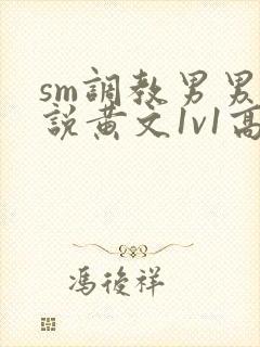 sm调教男男小说黄文1v1高h强制