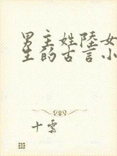 男主姓陆女主重生的古言小说