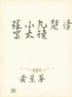 张小凡楚清璇风云太后