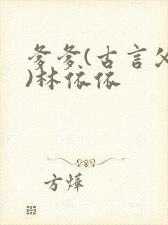 爹爹(古言父女)林依依封面