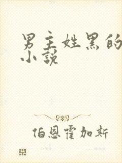 男主姓黑的总裁小说封面