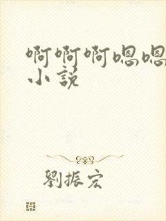 啊啊啊嗯嗯嗯h小说