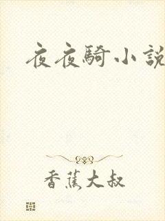 夜夜骑小说