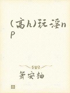 (高h)玩淫np