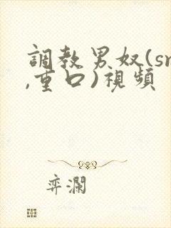 调教男奴(sm,重口)视频