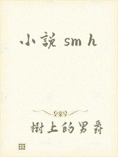 小说 sm h