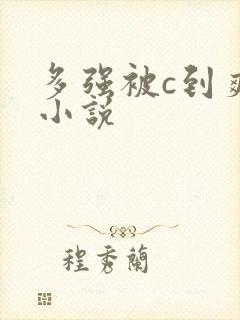 多强被c到爽h小说封面