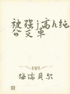 被强j高h纯肉公交车