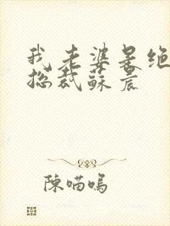 我老婆是绝色女总裁苏晨