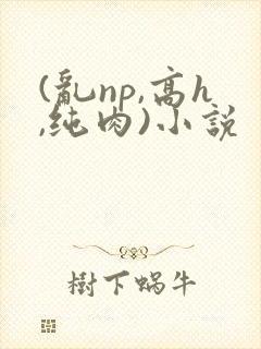 (乱np,高h,纯肉)小说封面