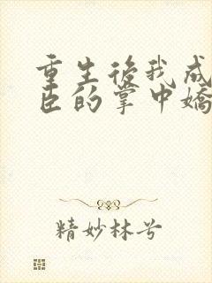 重生后我成了权臣的掌中娇全