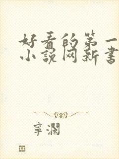 好看的第一版主小说网新书