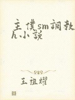 主仆sm调教高h小说