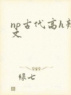np古代高h辣文