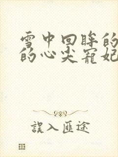 雪中回眸的四爷的心尖宠妃