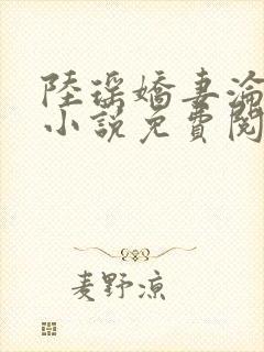 陆瑶娇妻沦陷的小说免费阅读封面