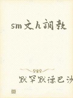 sm文h调教封面