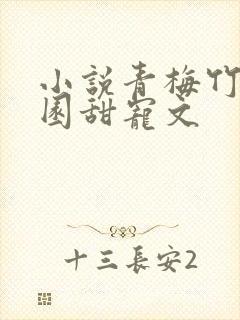 小说青梅竹马校园甜宠文封面