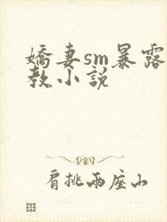 娇妻sm暴露调教小说