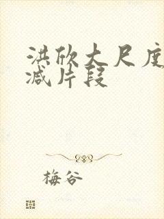 洪欣大尺度未删减片段